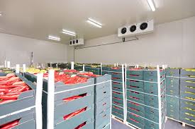 Preserving Freshness: The Critical Role of Chilled Storage in Riyadh and Saudi Arabia